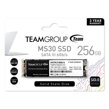 MS30 M.2 2280 256GB SATA III TLC Internal Solid State Drive