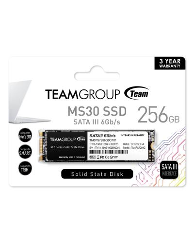 MS30 M.2 2280 256GB SATA III TLC Internal Solid State Drive 
